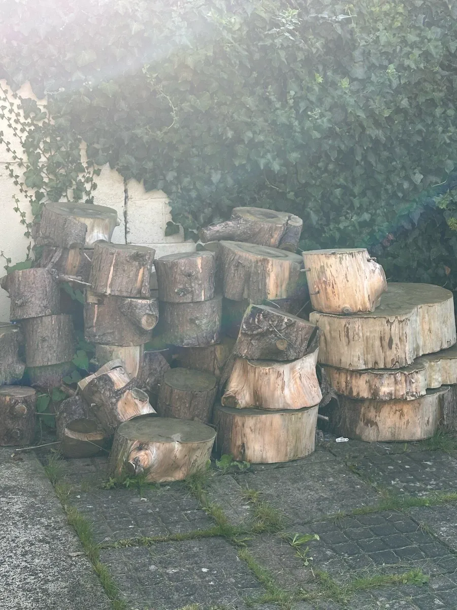 Wood logs for fire - Image 2