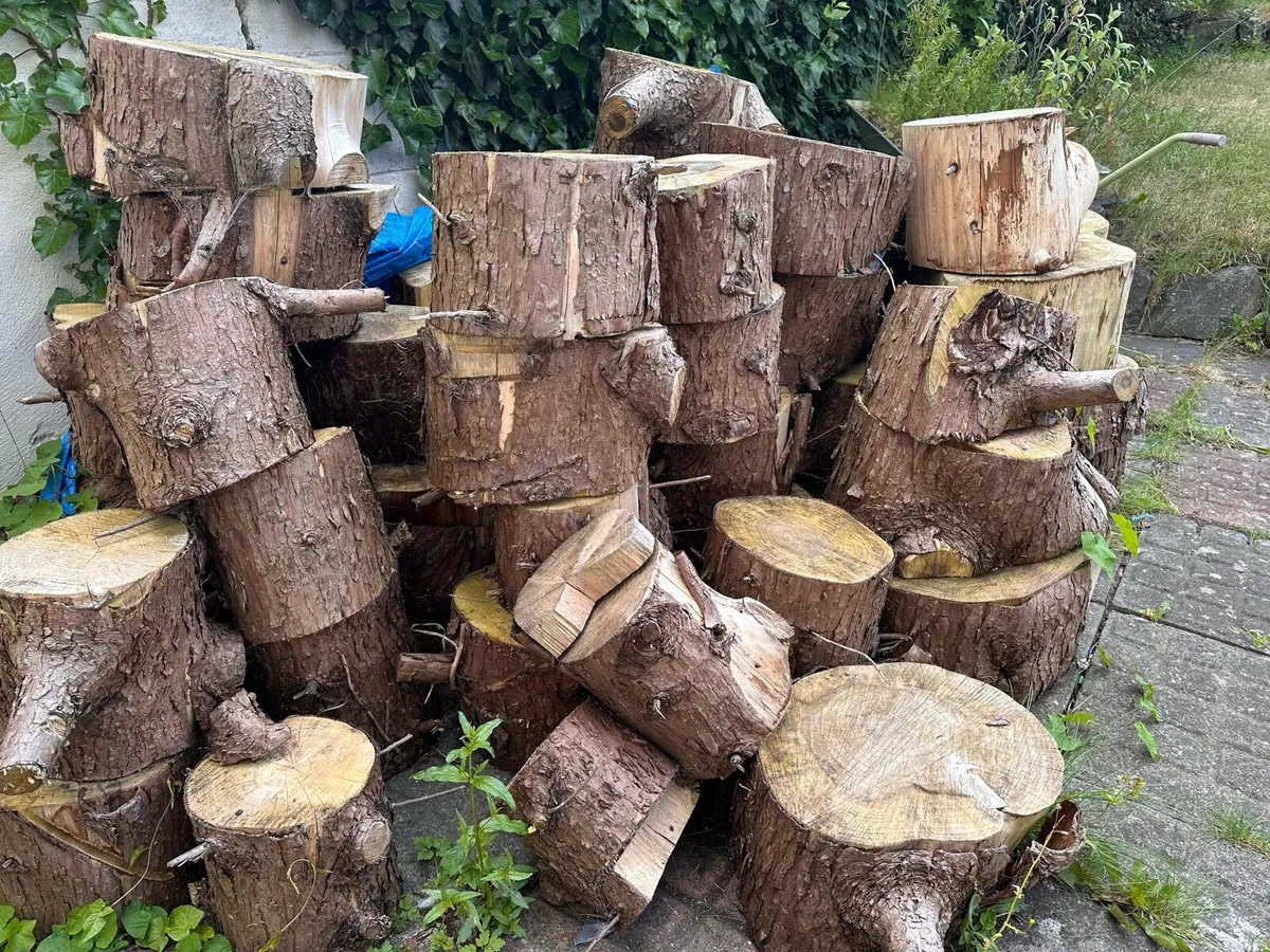 Wood logs for fire - Image 3