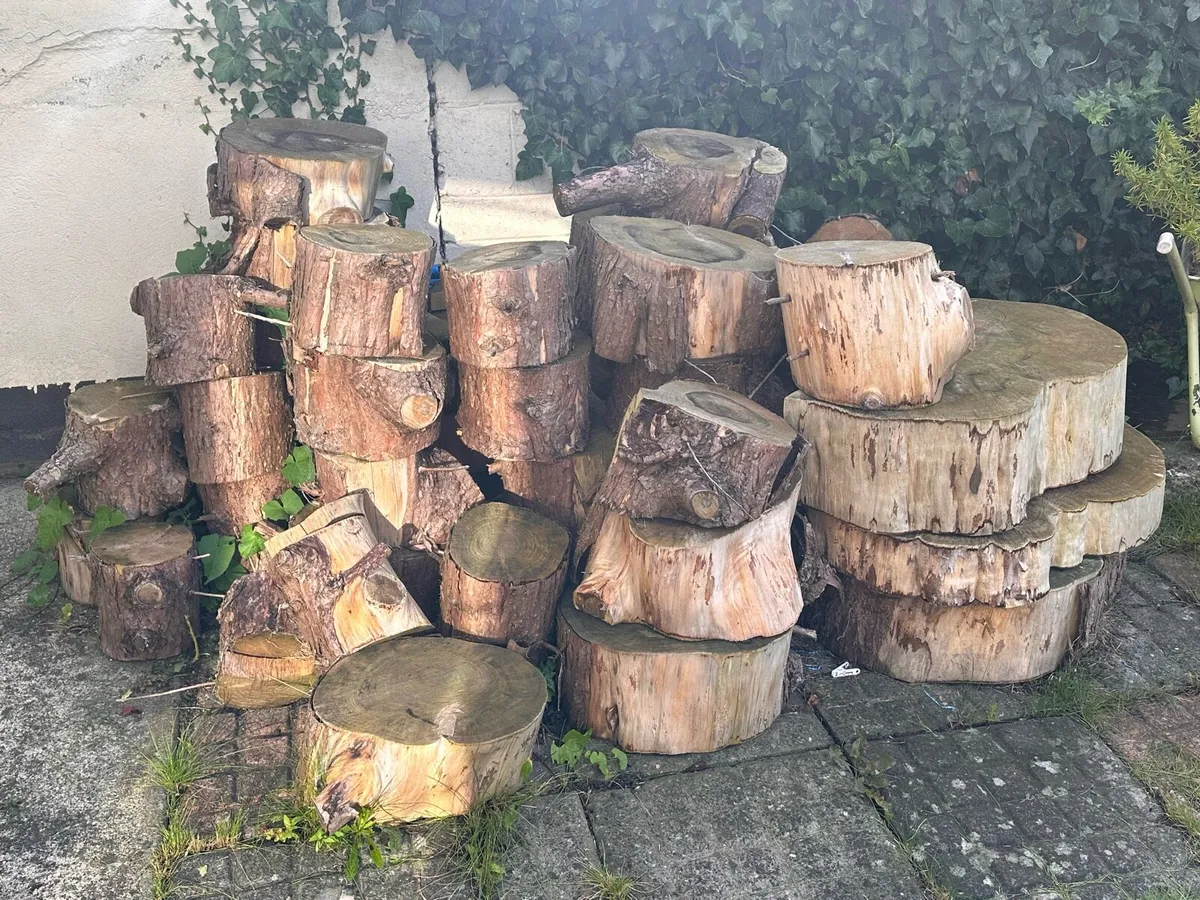 Wood logs for fire - Image 1