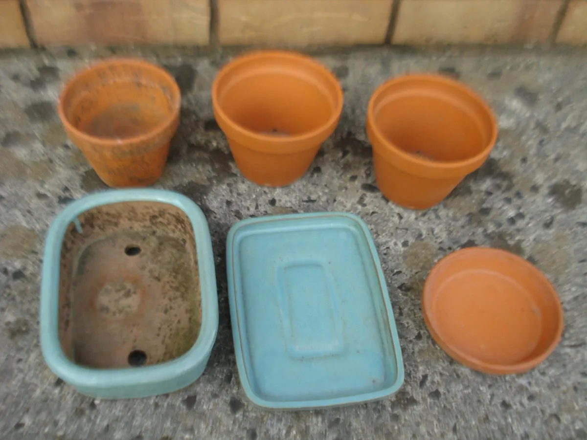 SMALL GARDEN TERRACOTTA POTS, BASE, & TROUGHS. - Image 1