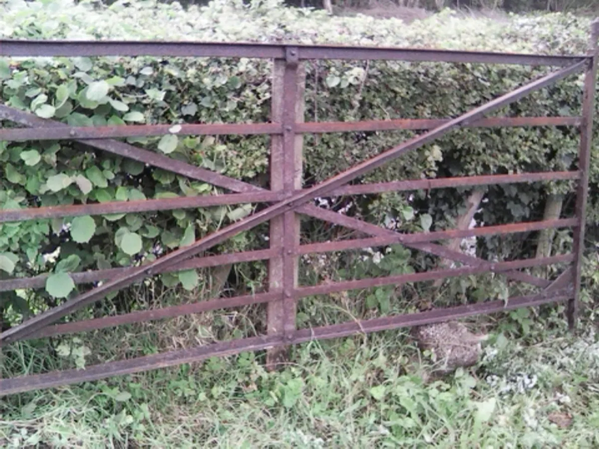 Solid 9ft Antique Iron Gate - Image 1