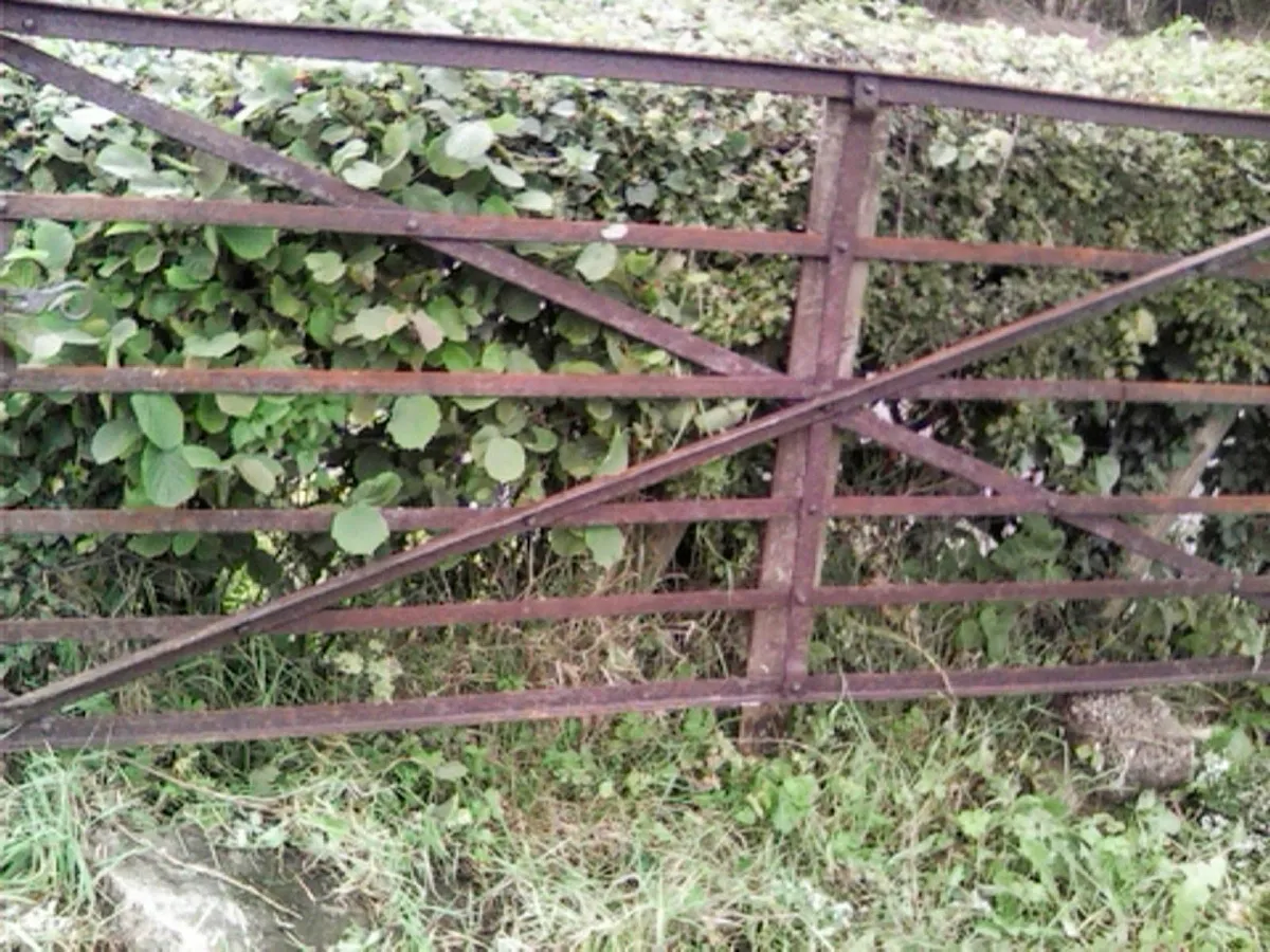 Solid 9ft Antique Iron Gate - Image 3