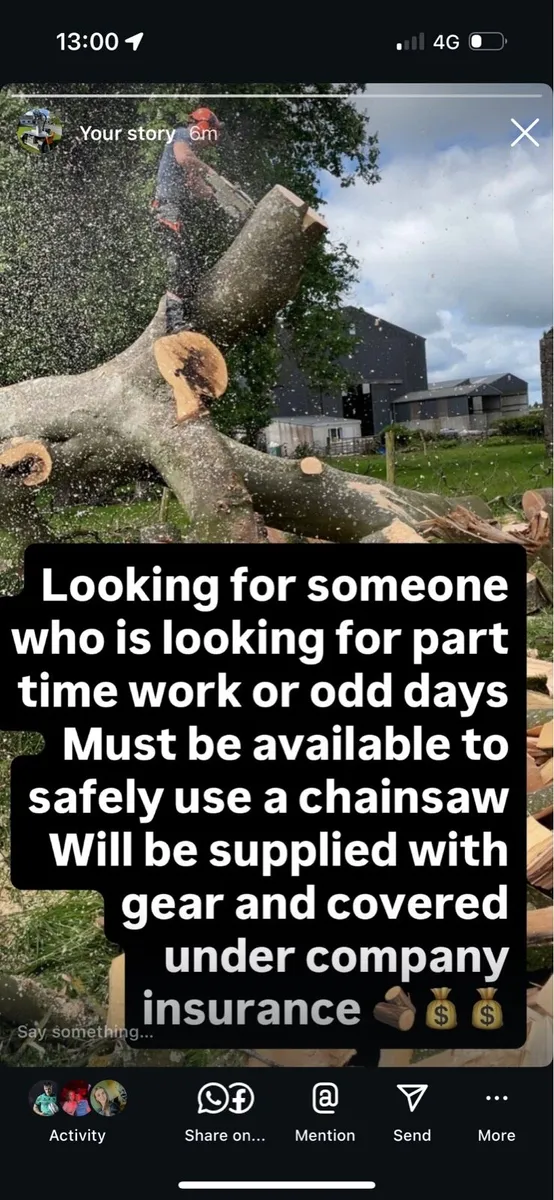 Job opportunity, Chainsaw operative