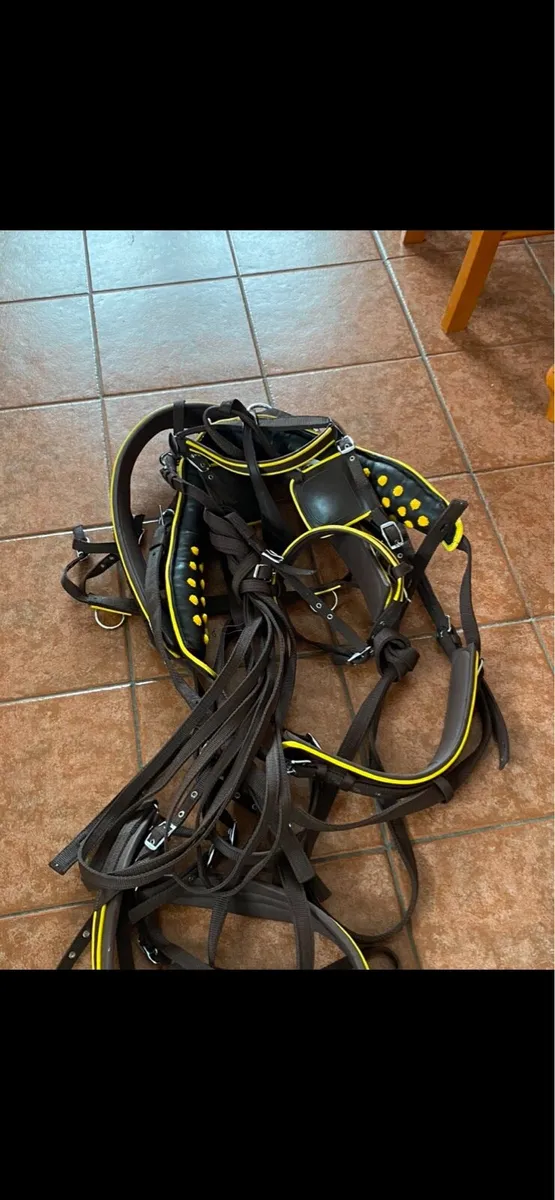Driving harness - Image 3