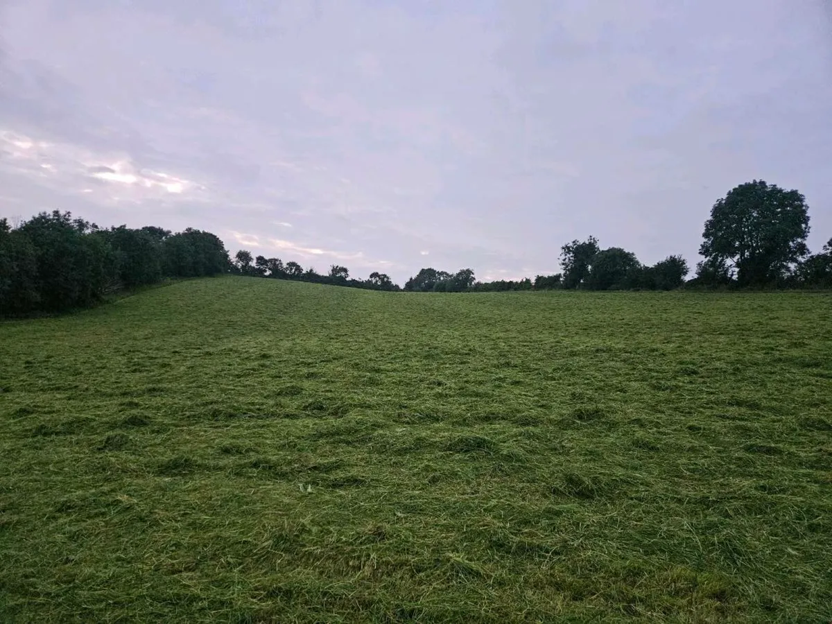 2025 Silage Bales - Image 2