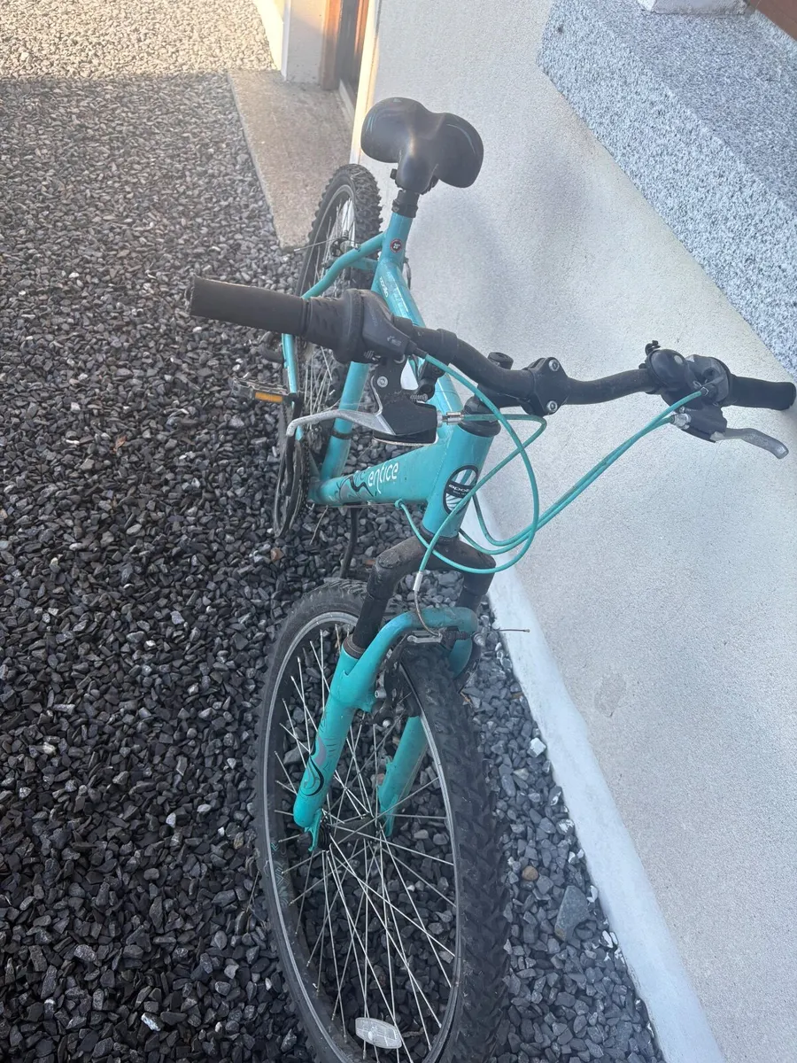 Bike - Image 1