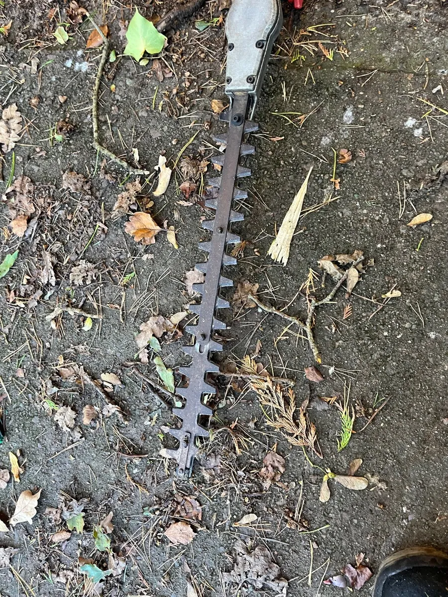 Electric pole saw and chainsaw - Image 3