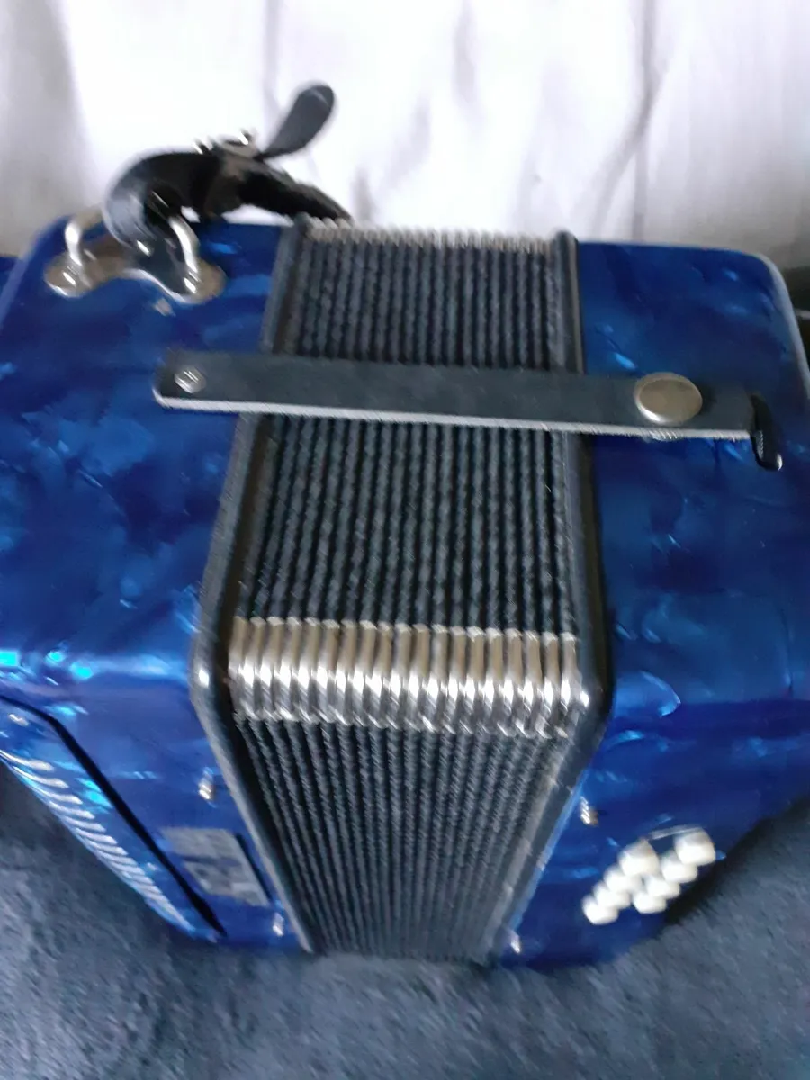 Button Accordian - Image 2