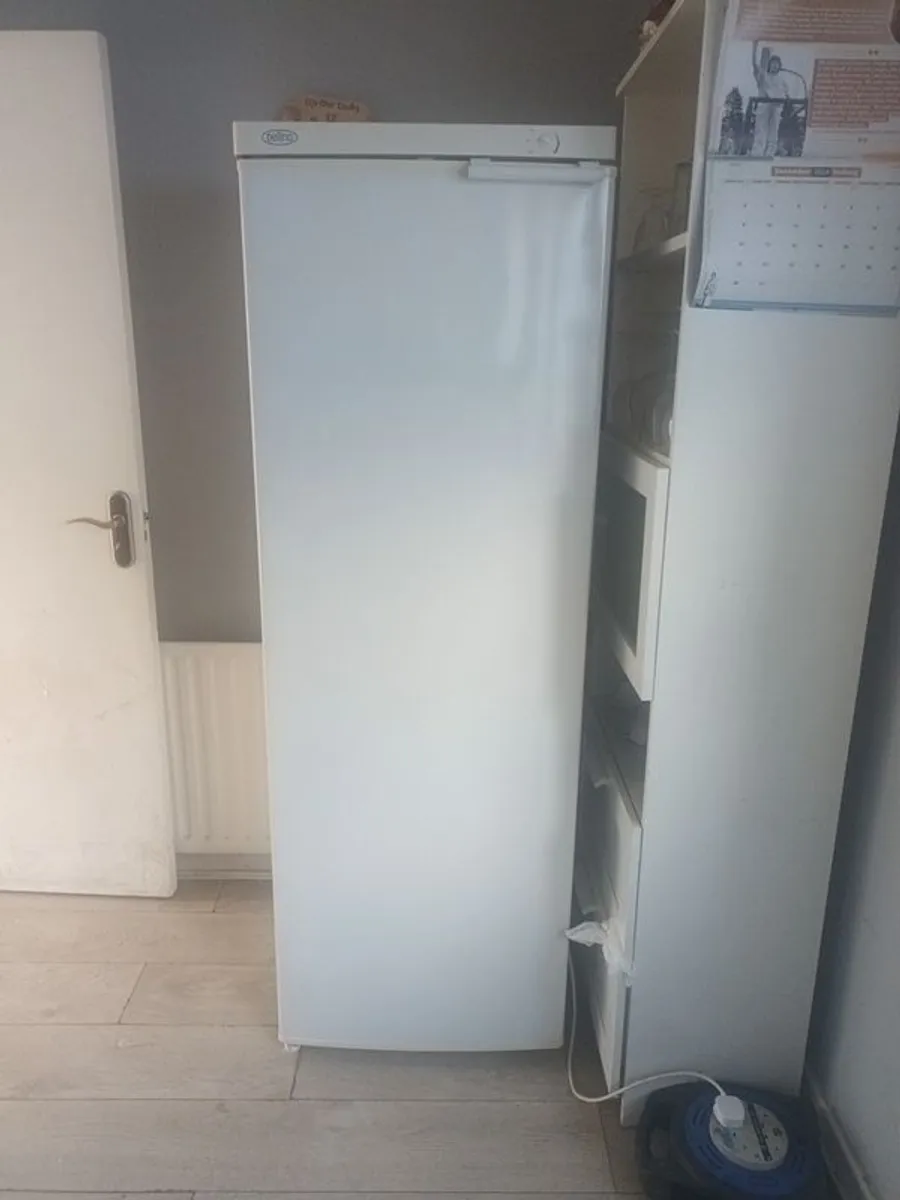 Large Bellings Fridge - Image 1
