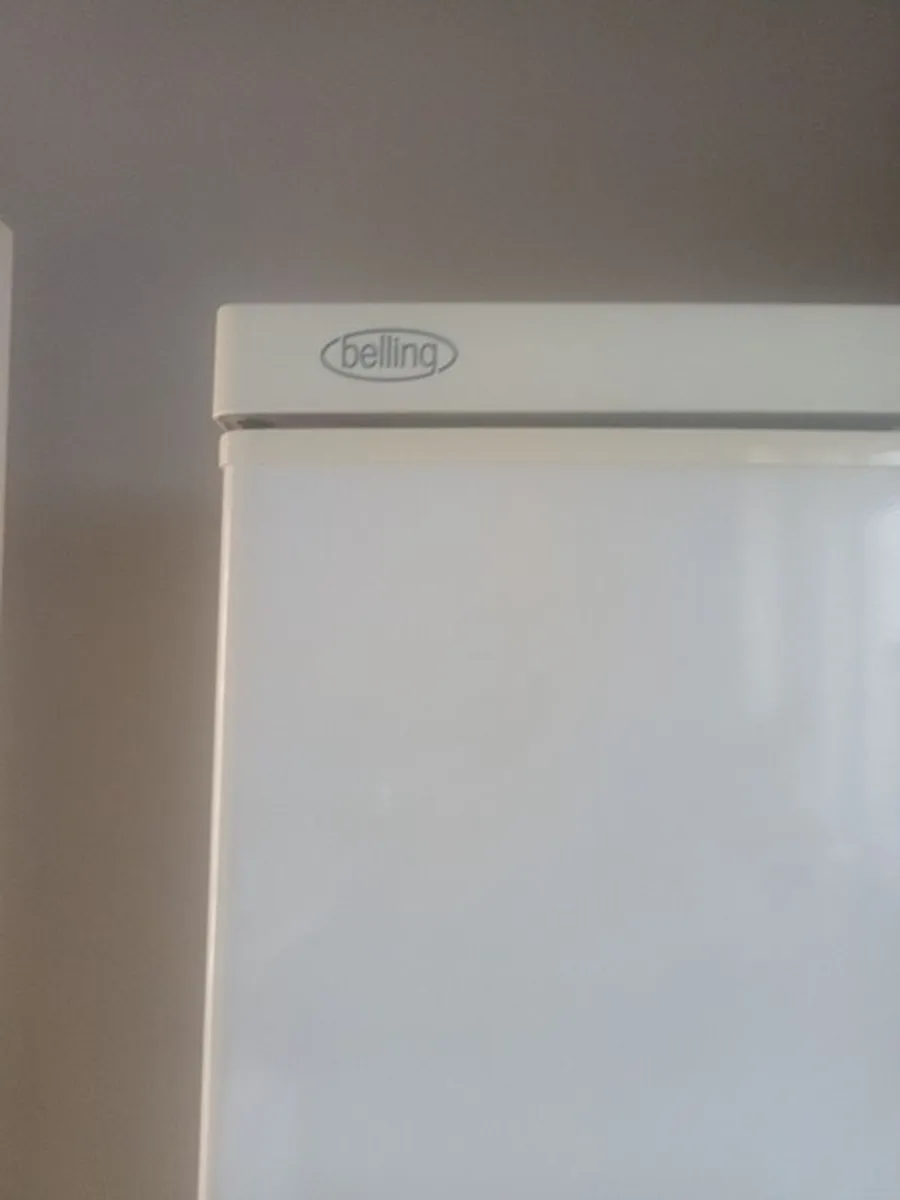 Large Bellings Fridge - Image 2