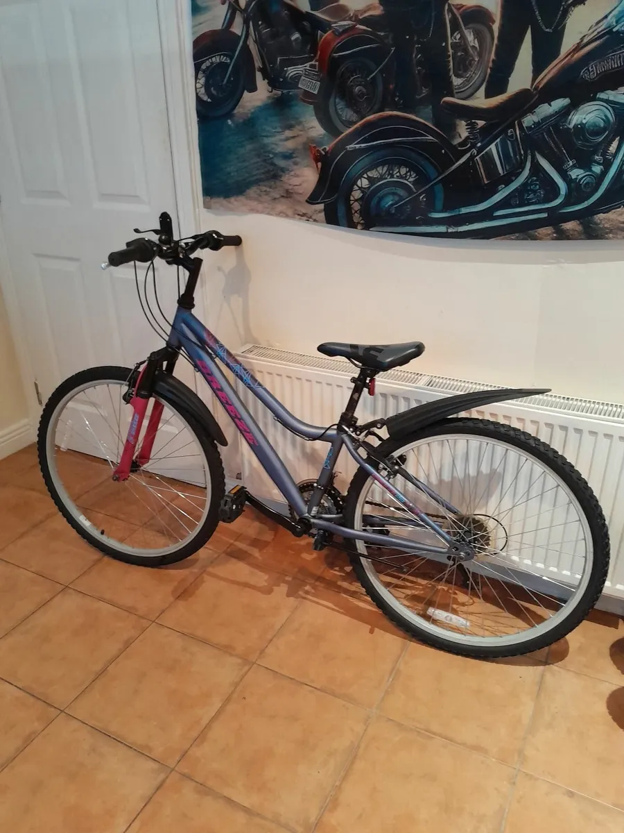 Bicycle - Image 1