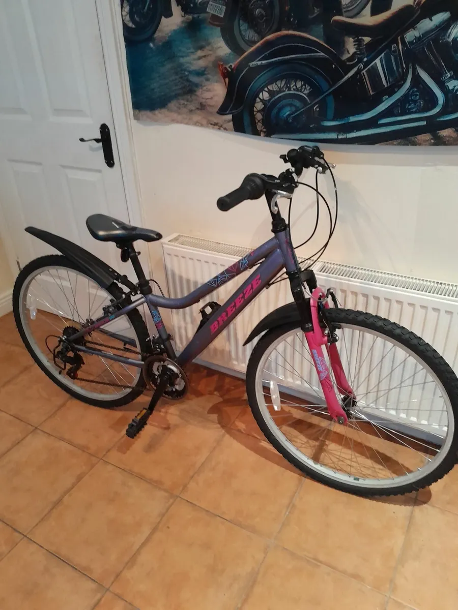 Bicycle - Image 3