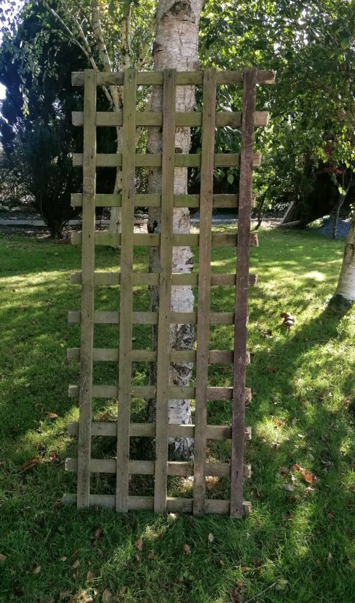 Trellis Panel