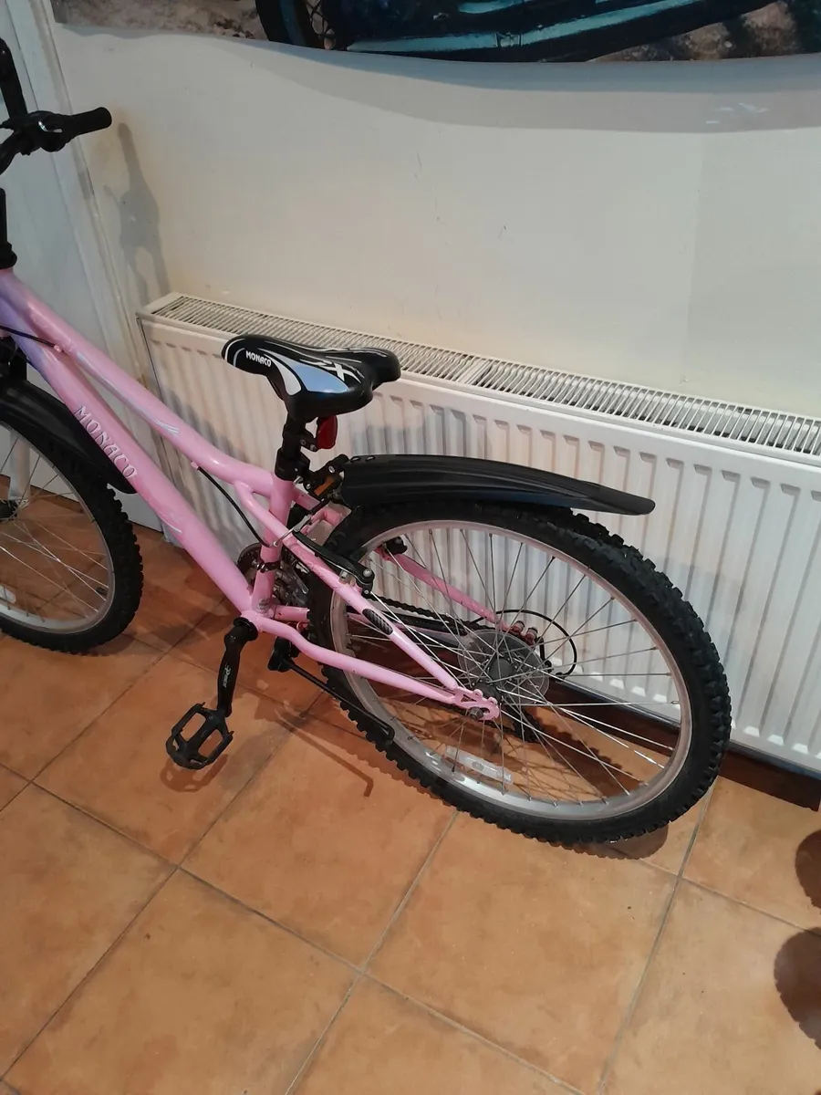 Bicycle - Image 2
