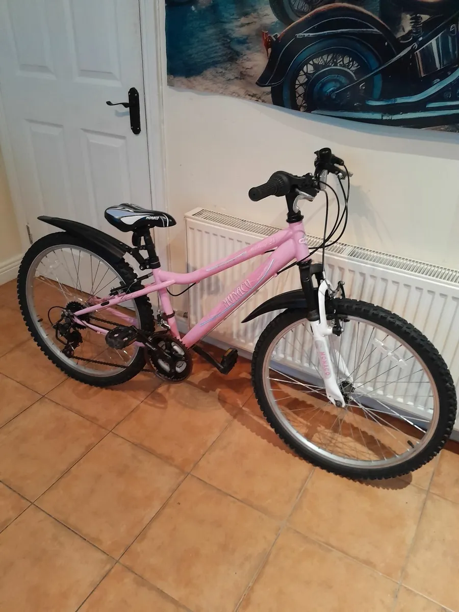 Bicycle - Image 4
