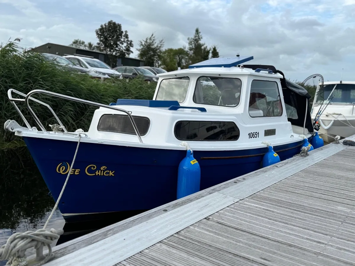 Boar Hardy 20 - Image 2