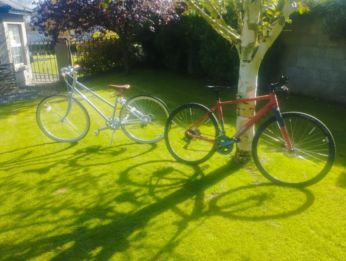 Adult bikes - Image 1