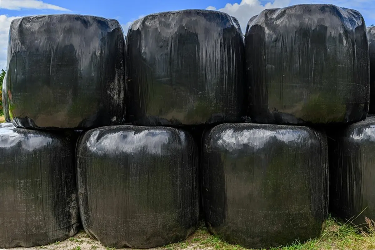 Silage Bales