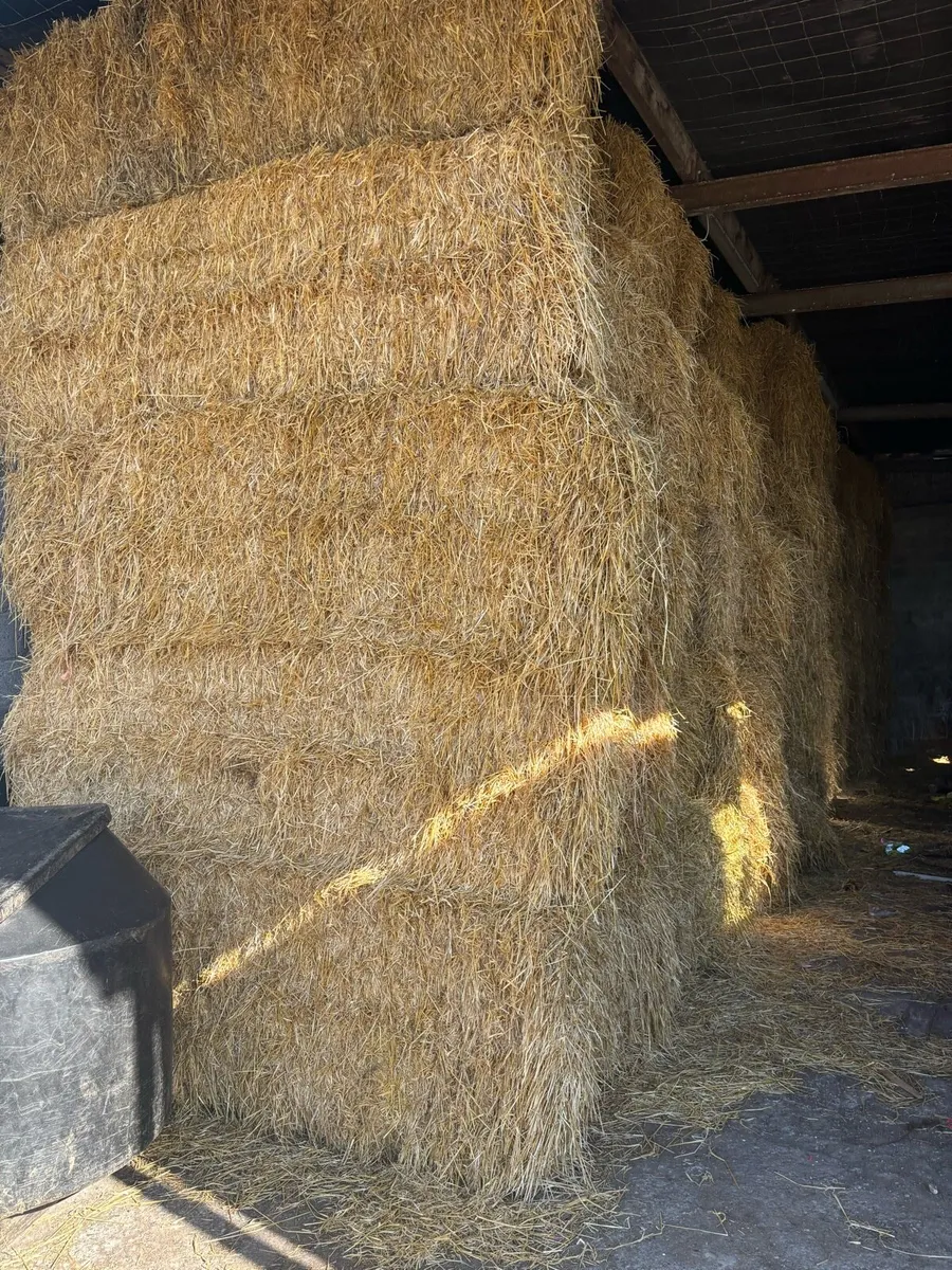 Quantity Straw for sale - Image 1