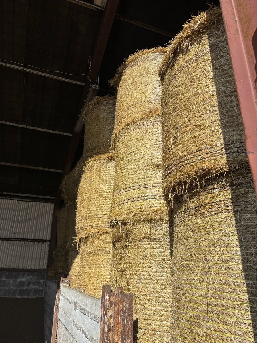 Quantity Straw for sale - Image 3
