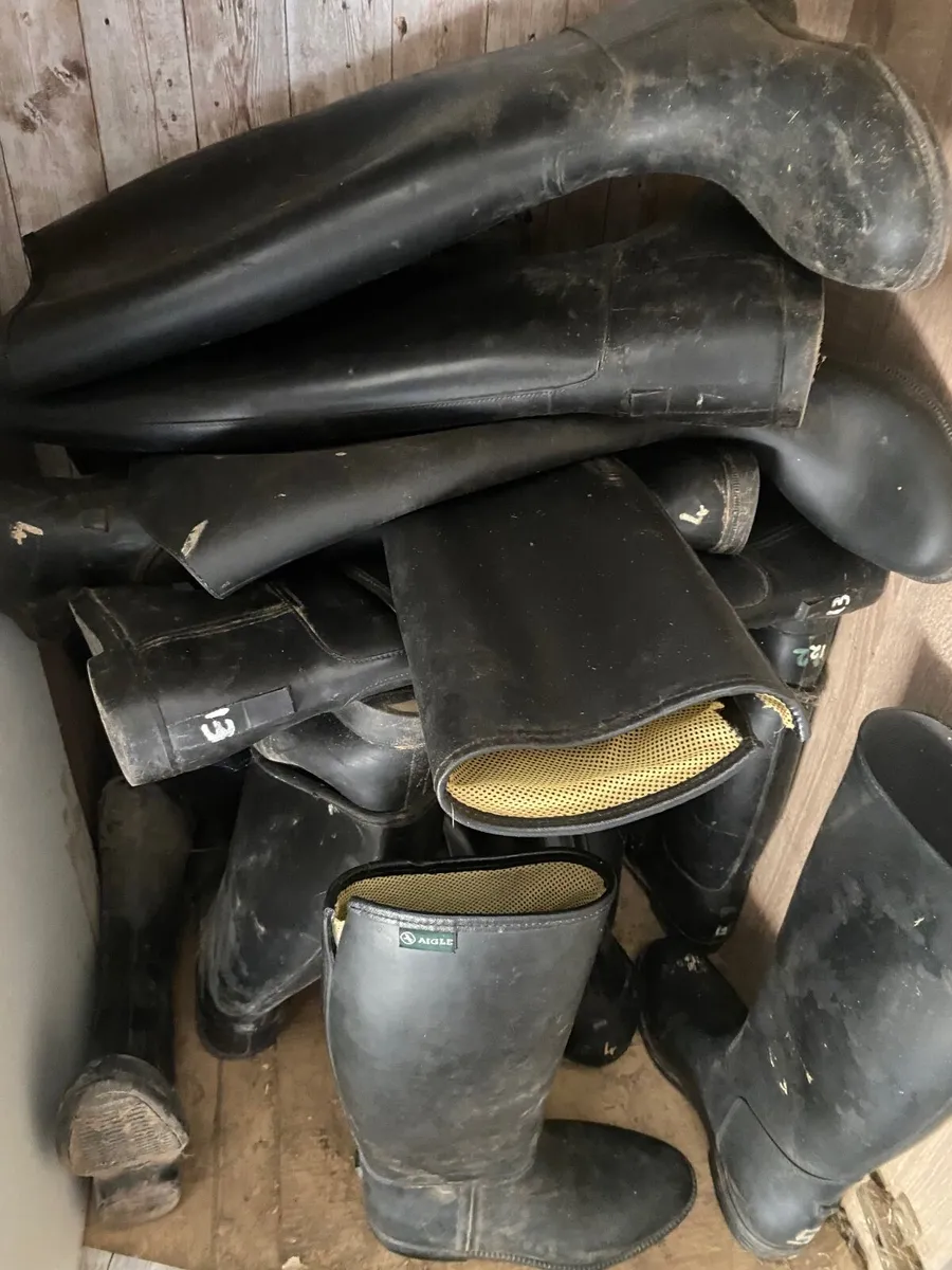 Riding school equipment - Image 1