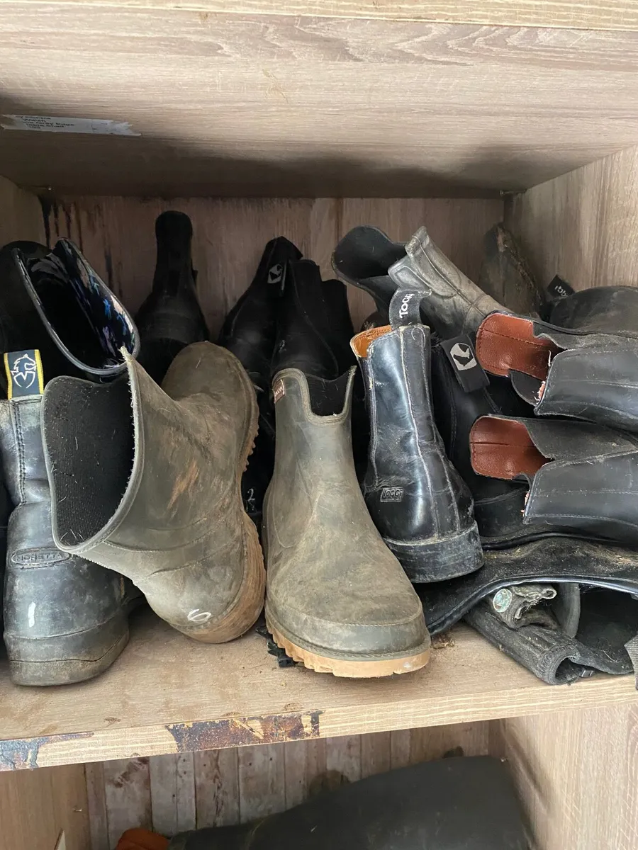 Riding school equipment - Image 3
