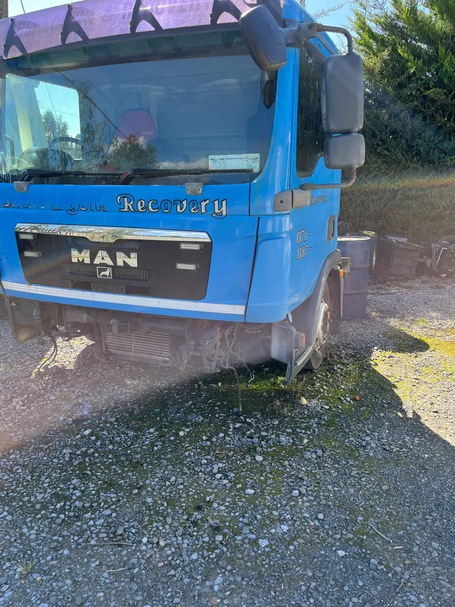 Man TGL - Image 2