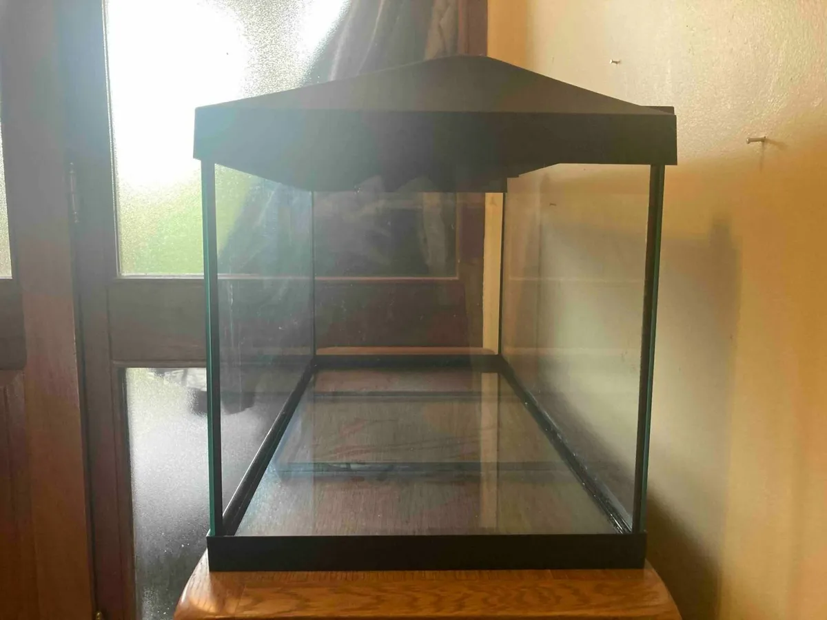 Fish Tank with Accessories - Image 2