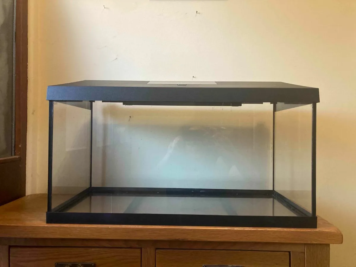 Fish Tank with Accessories - Image 3