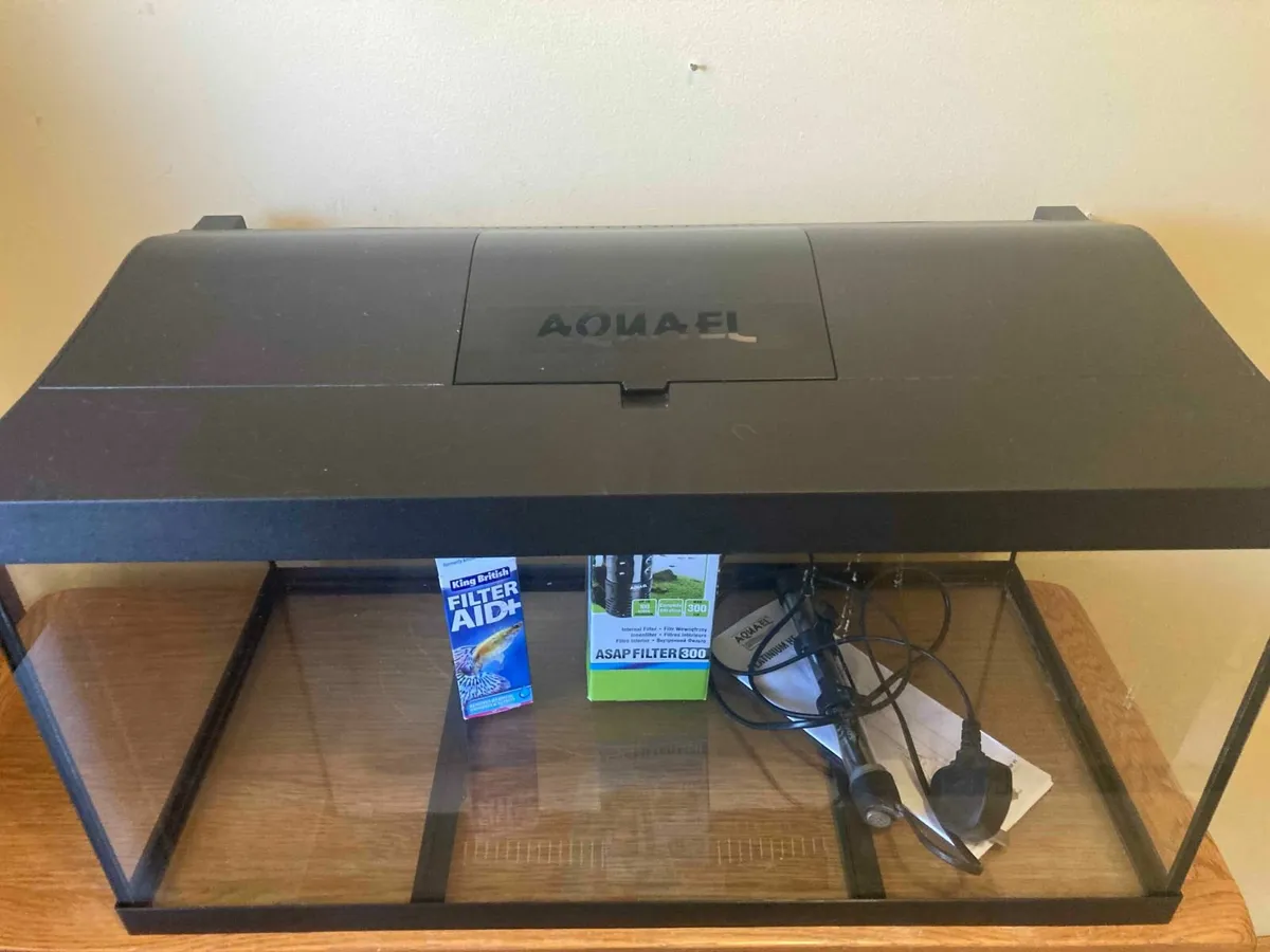 Fish Tank with Accessories - Image 4