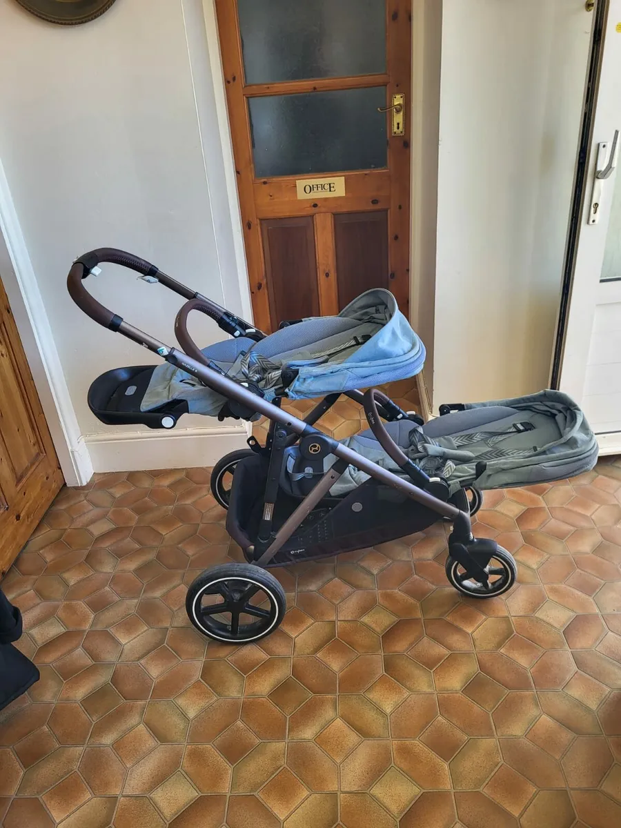 Twin buggy - Image 1
