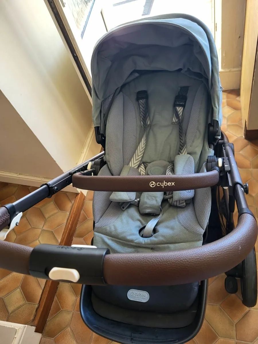 Twin buggy - Image 4