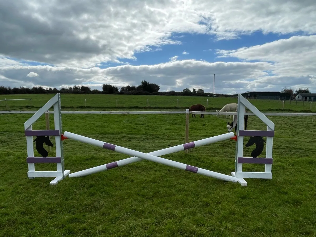 Equestrian Jumps - Image 2