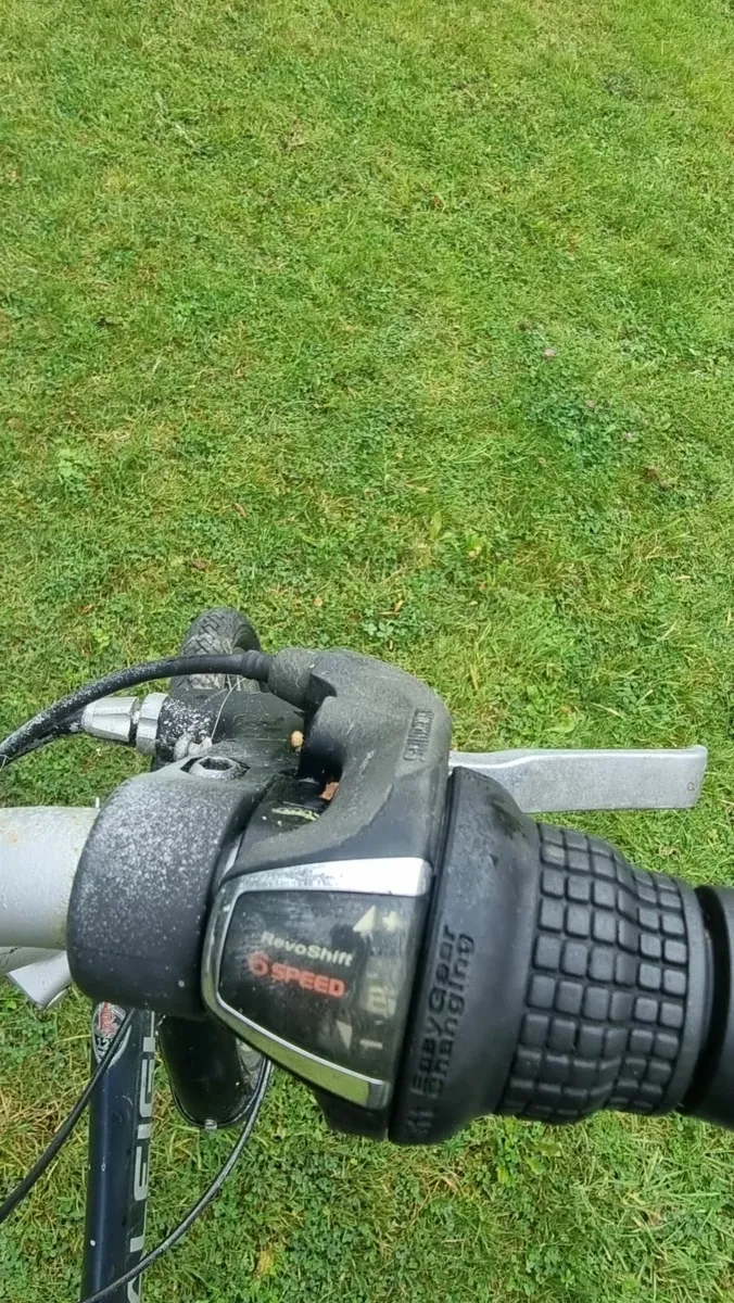 Bike - Image 4
