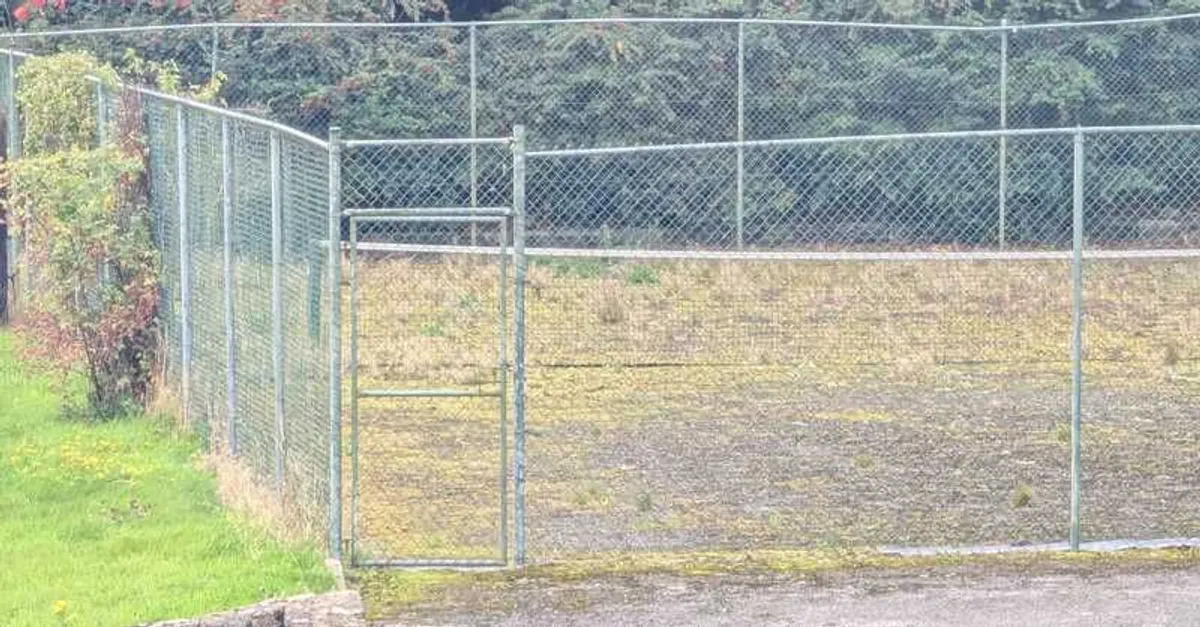 FREE Chainlink Mesh Fencing (Green)+ Posts+Gates