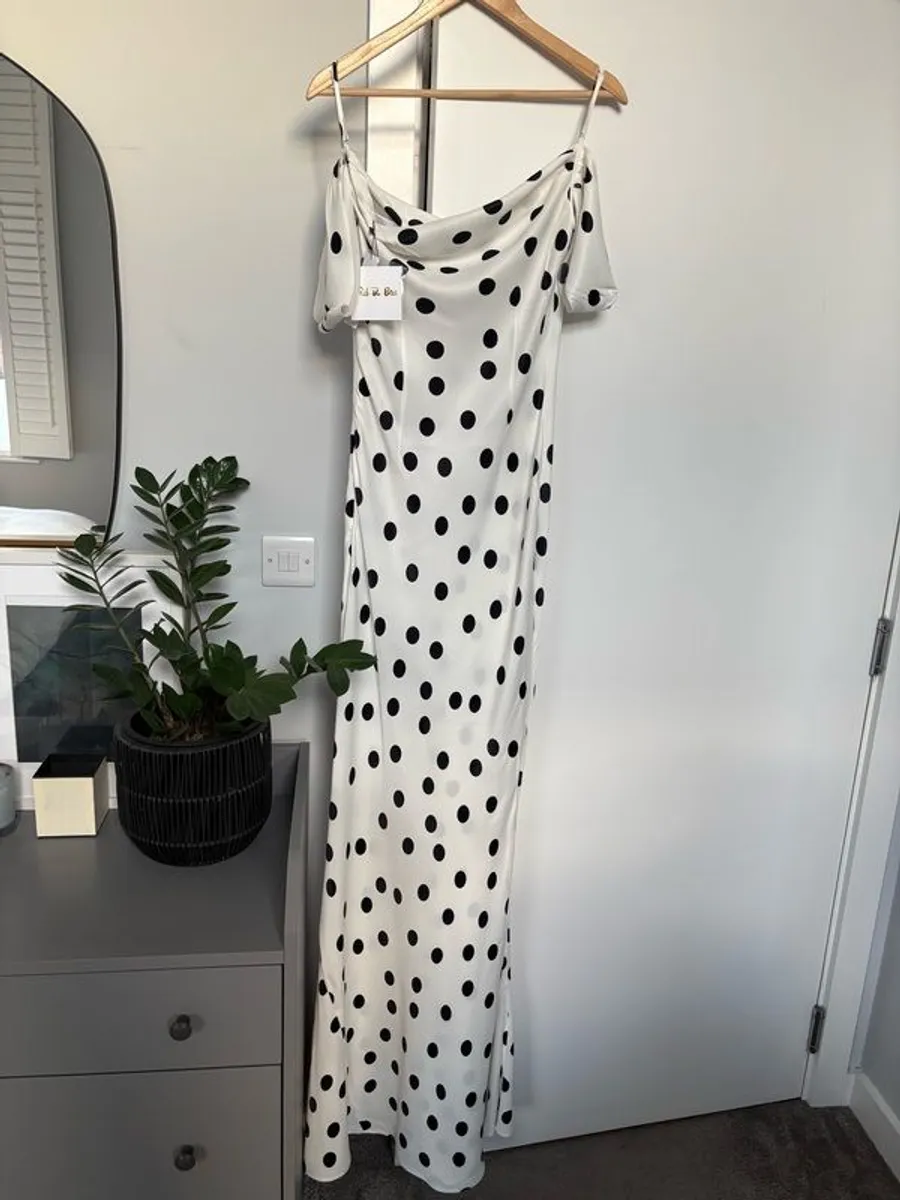 Rat & Boa dress - Image 4