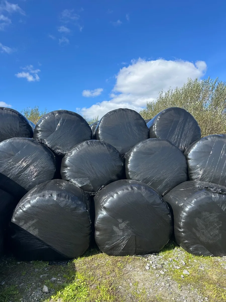 Silage bales - Image 1
