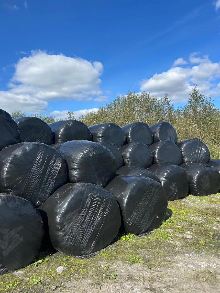 Silage bales - Image 3