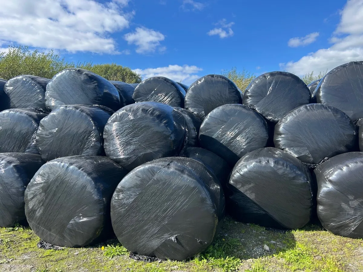 Silage bales - Image 4