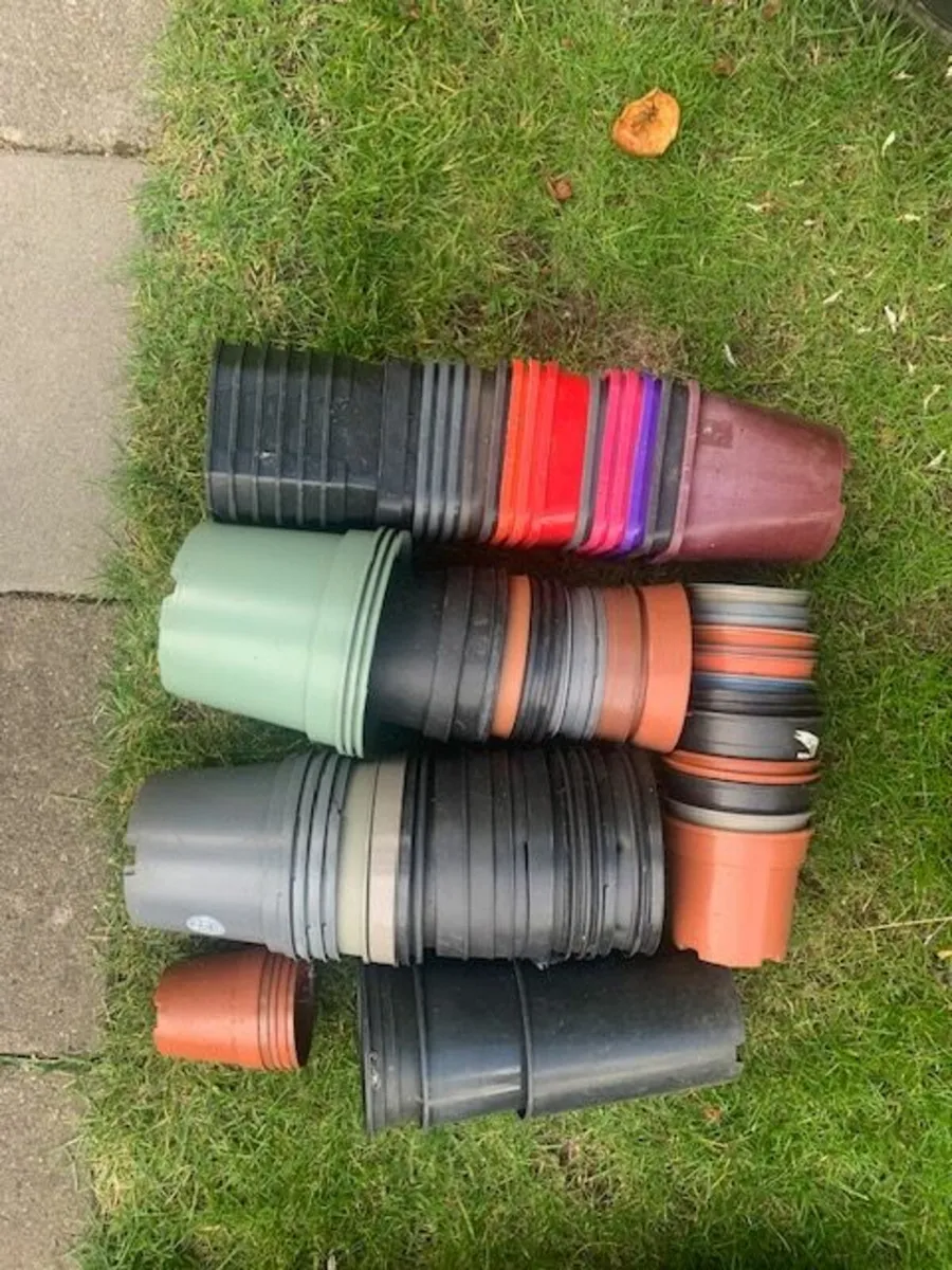 Free 4 Plant Pots