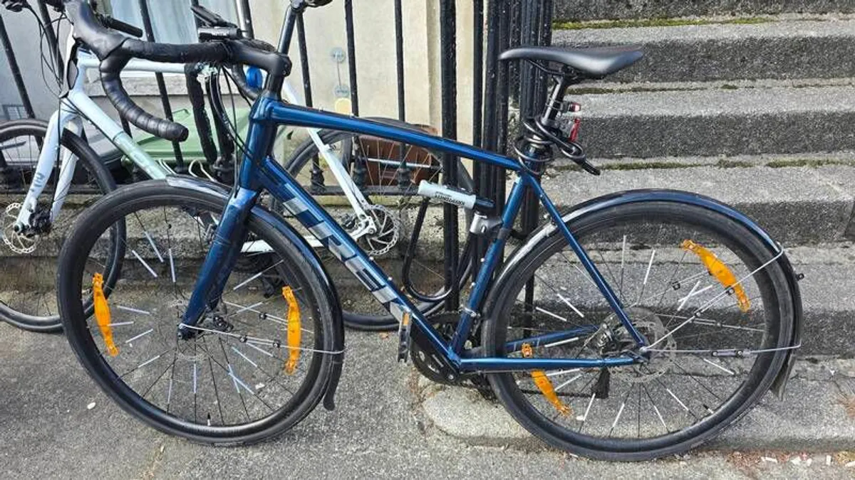 Trek Domane - Image 1