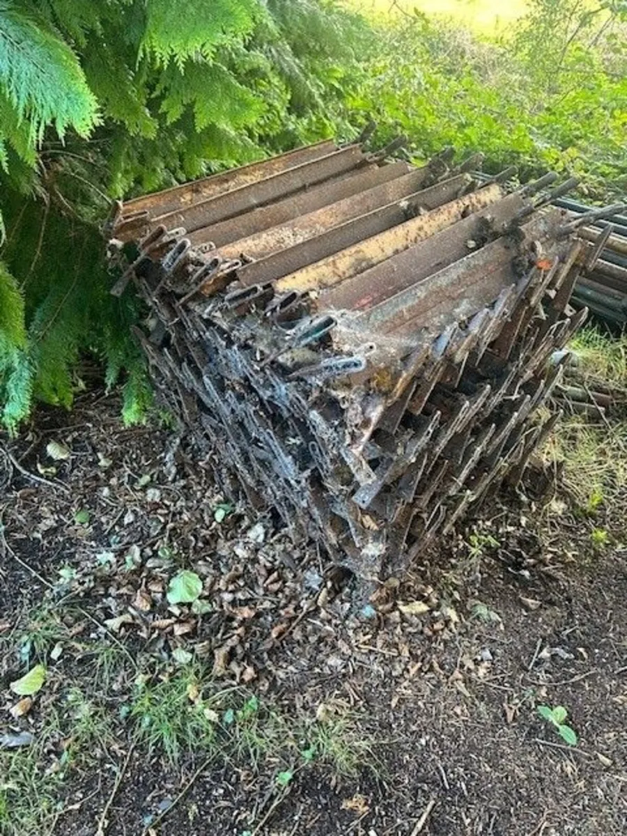 scaffolding - Image 2