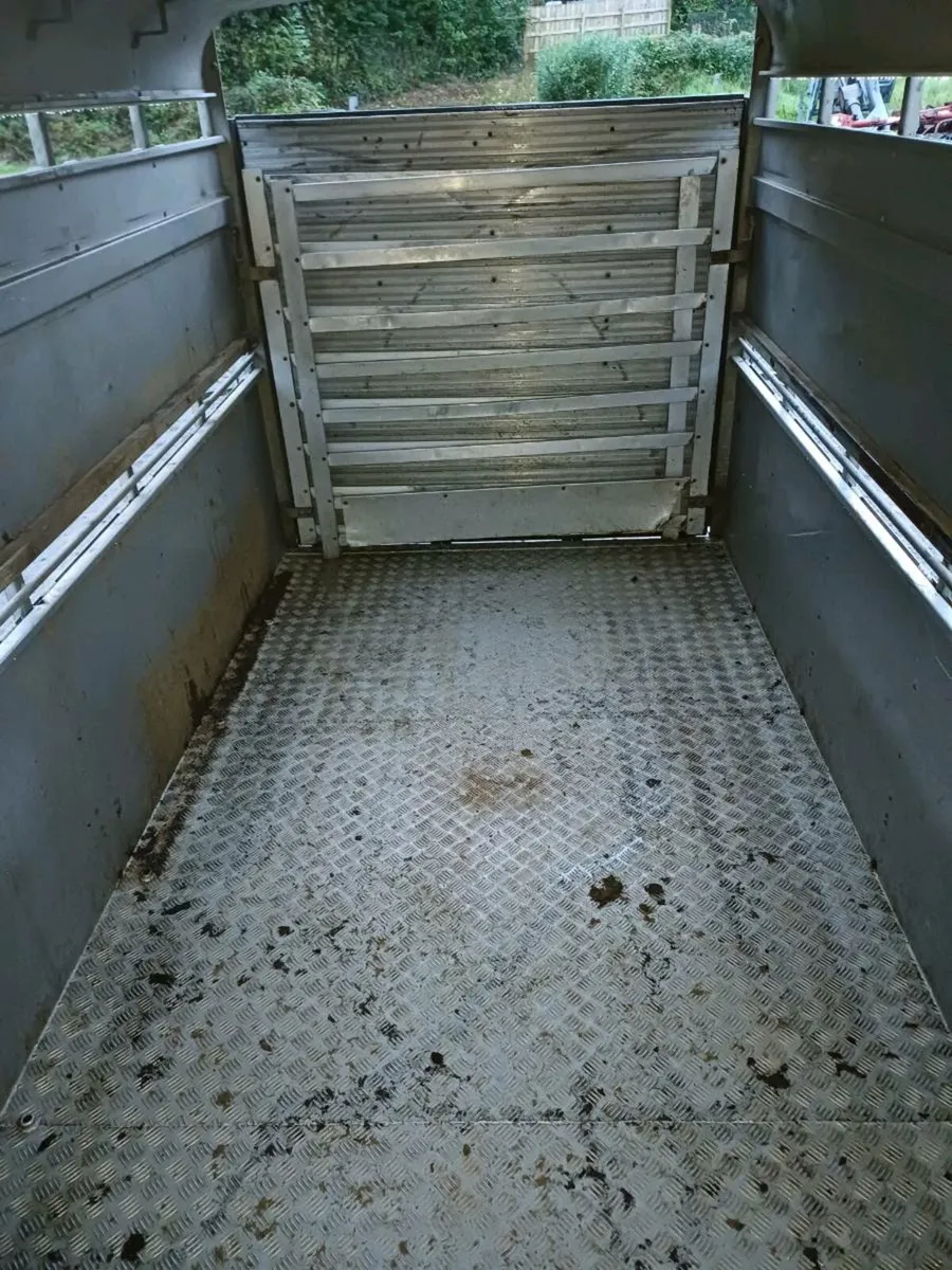 Hudson 12ft  cattle trailer €2750 EUROS - Image 4