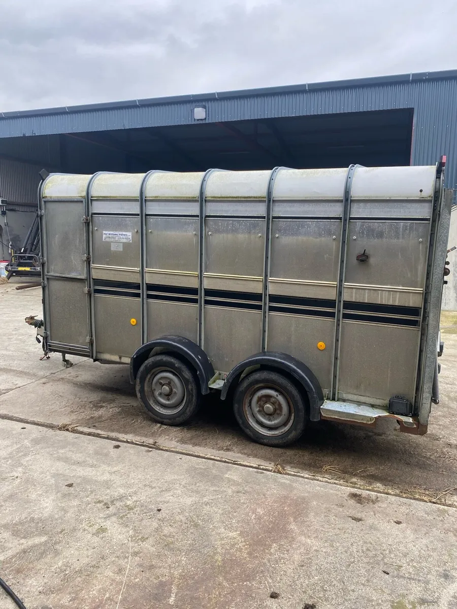 Cattle trailer - Image 2