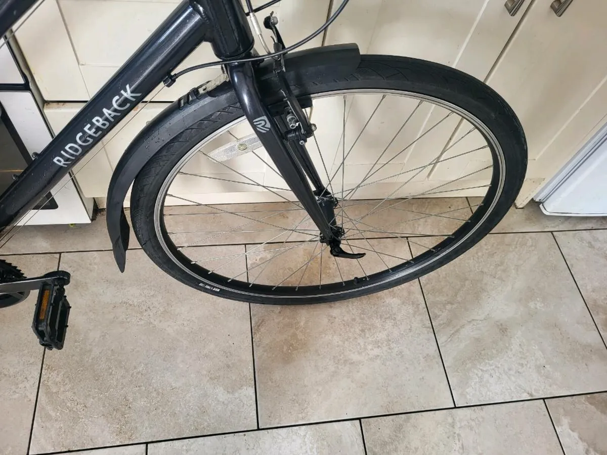 Bike - Image 3