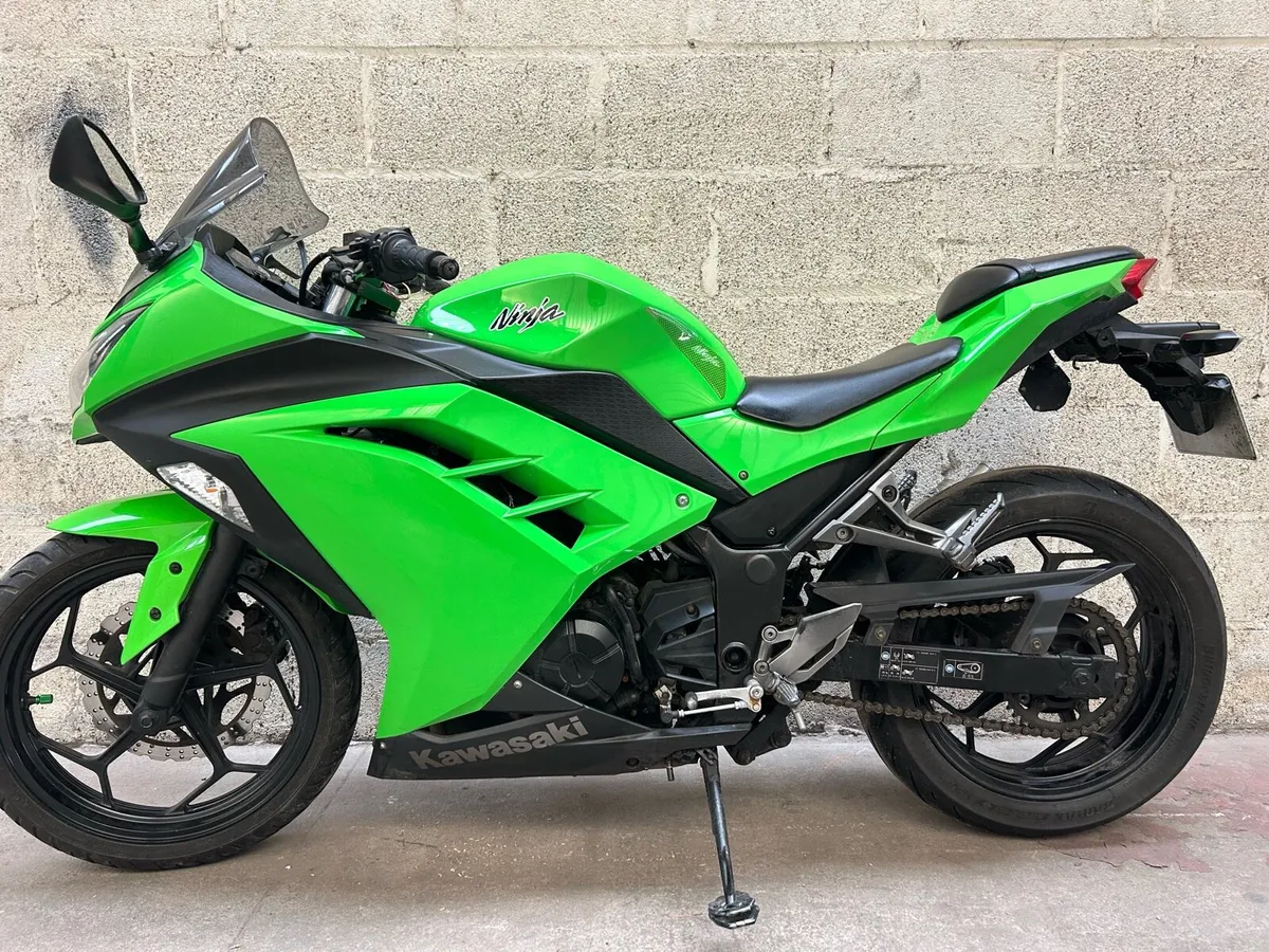 Kawasaki Ninja 300 - Image 1