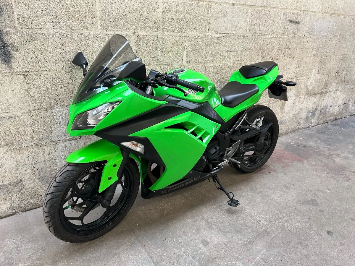 Kawasaki Ninja 300 - Image 3