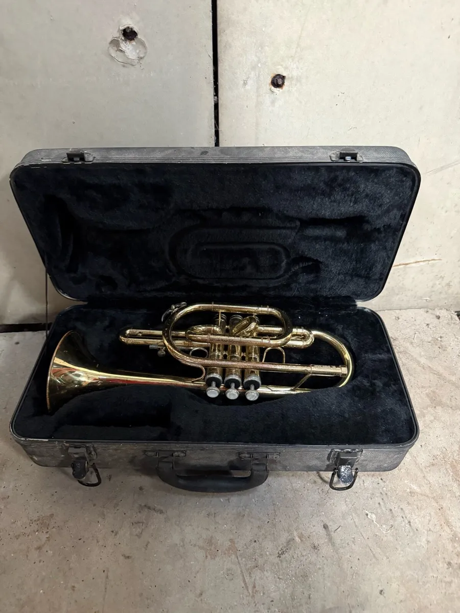 Stagg Trumpet - Image 1
