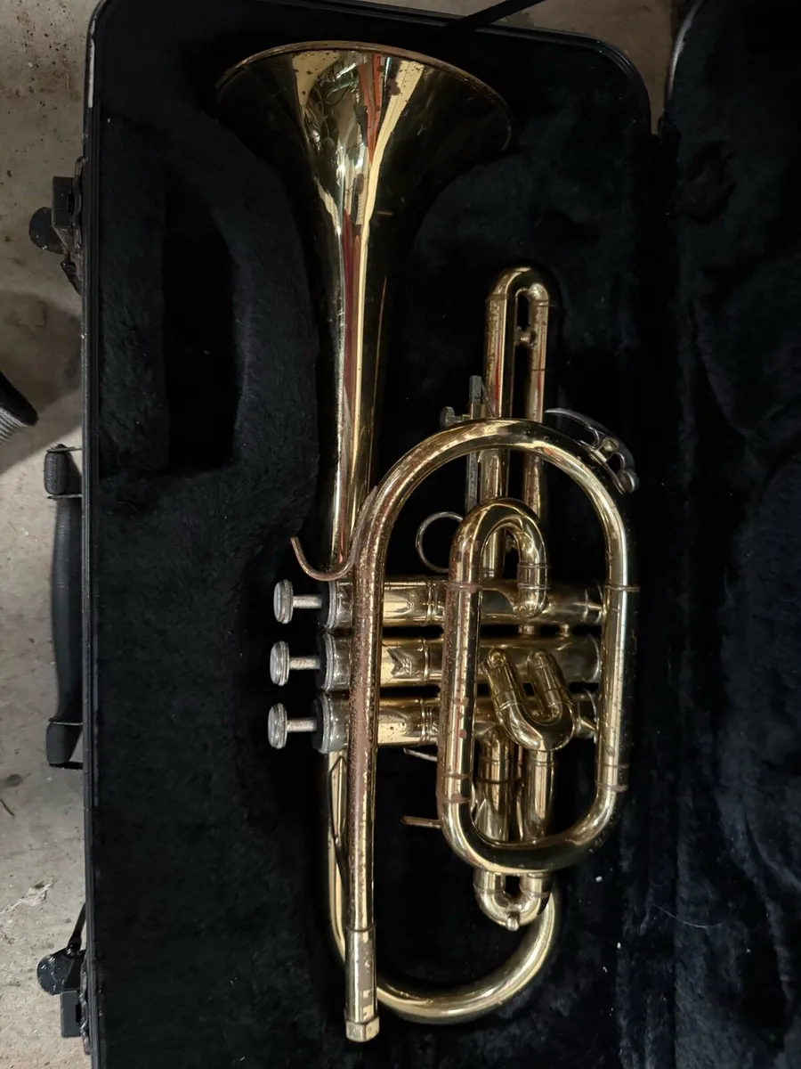 Stagg Trumpet - Image 3