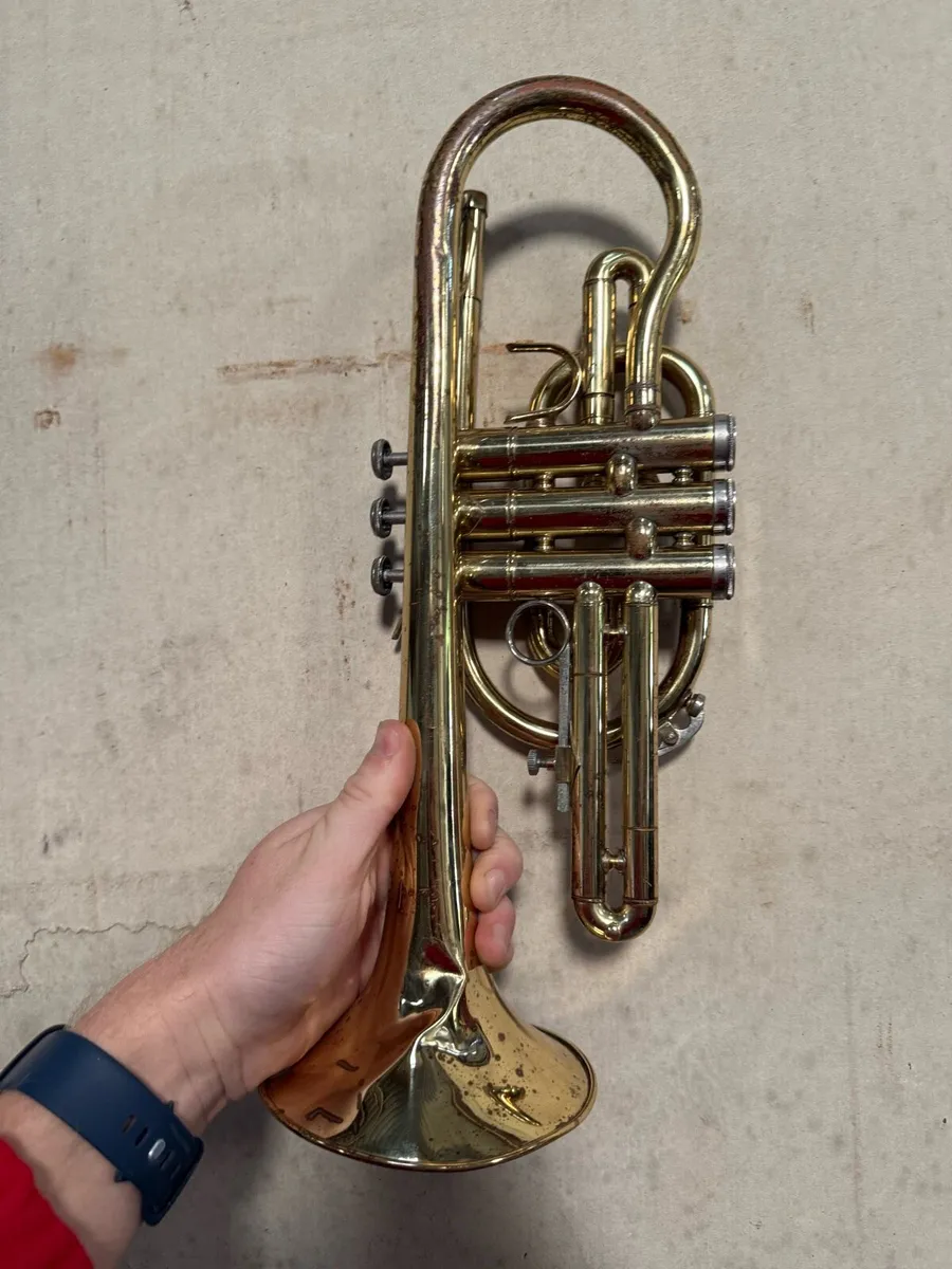 Stagg Trumpet - Image 4